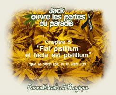 chapitre 5