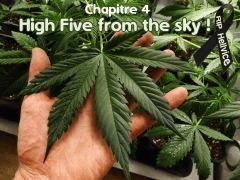 high 5
