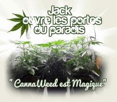 cw est magique !