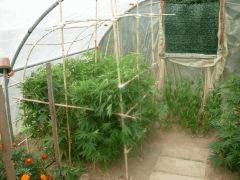 DSCN0189