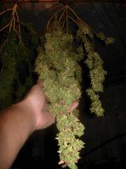 DSCN0257