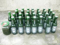 DSCN0392