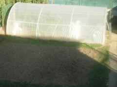 DSCN0490