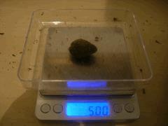 DSCN0603