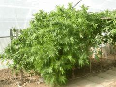 DSCN0462