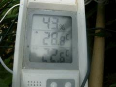 DSCN0438