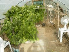 DSCN0564