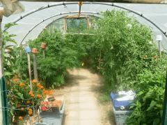DSCN0292