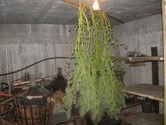 DSCN0568