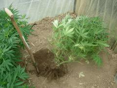 DSCN0148