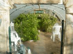 DSCN0538