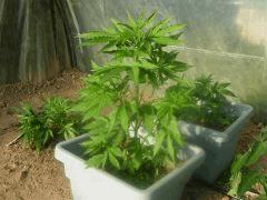 DSCN0015