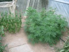 DSCN0188