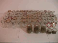 DSCN0558