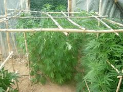 DSCN0261