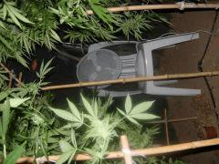 DSCN0441