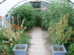 DSCN0221