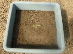 DSCN0357