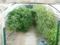 DSCN0427