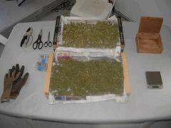 DSCN0285