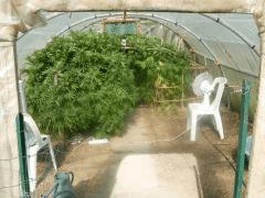 DSCN0457