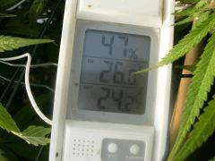 DSCN0493