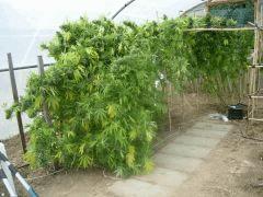 DSCN0577