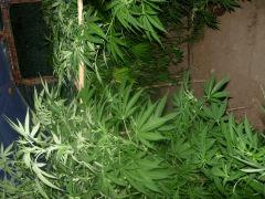 DSCN0319