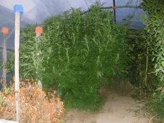 DSCN0367