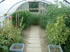 DSCN0208