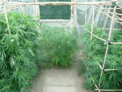 DSCN0211