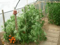 DSCN0262