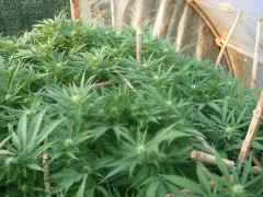 DSCN0358