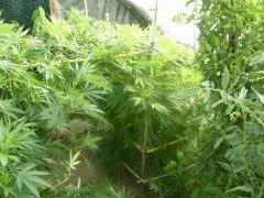 DSCN0307