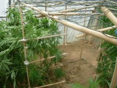 DSCN0263