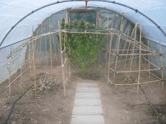 DSCN0581