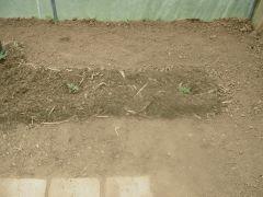 DSCN0372
