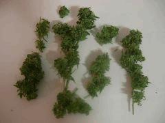 DSCN0452