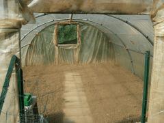 DSCN0336