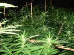 DSCN0366