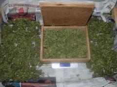 DSCN0289