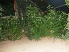 DSCN0204