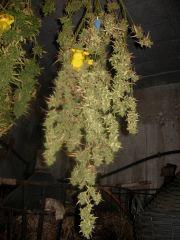 DSCN0251