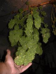 DSCN0253