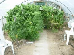 DSCN0465