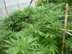 DSCN0325