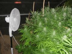 DSCN0443
