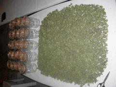DSCN0597