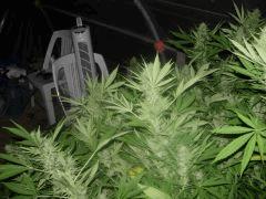 DSCN0447