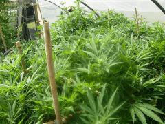 DSCN0346
